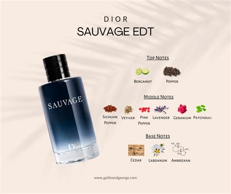 dior sauvage persistenza|dior sauvage cologne top notes.